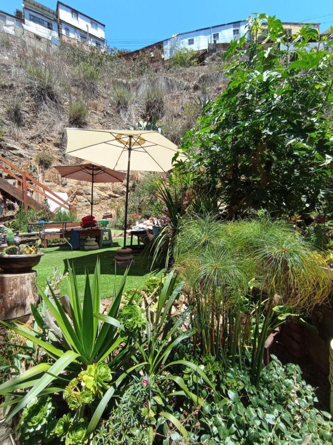Albergue Selva *