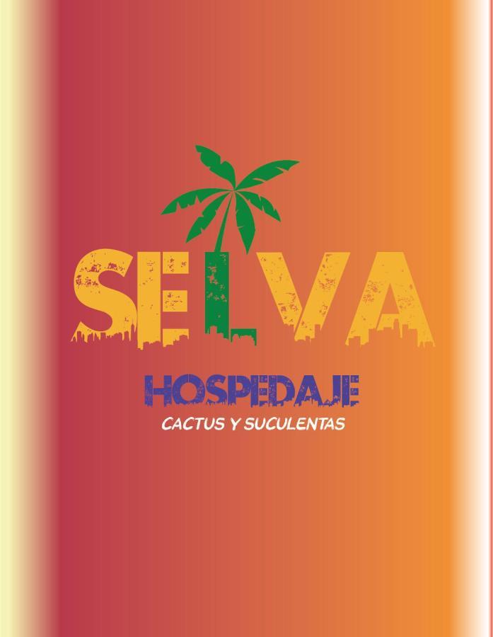 Selva * Valparaíso