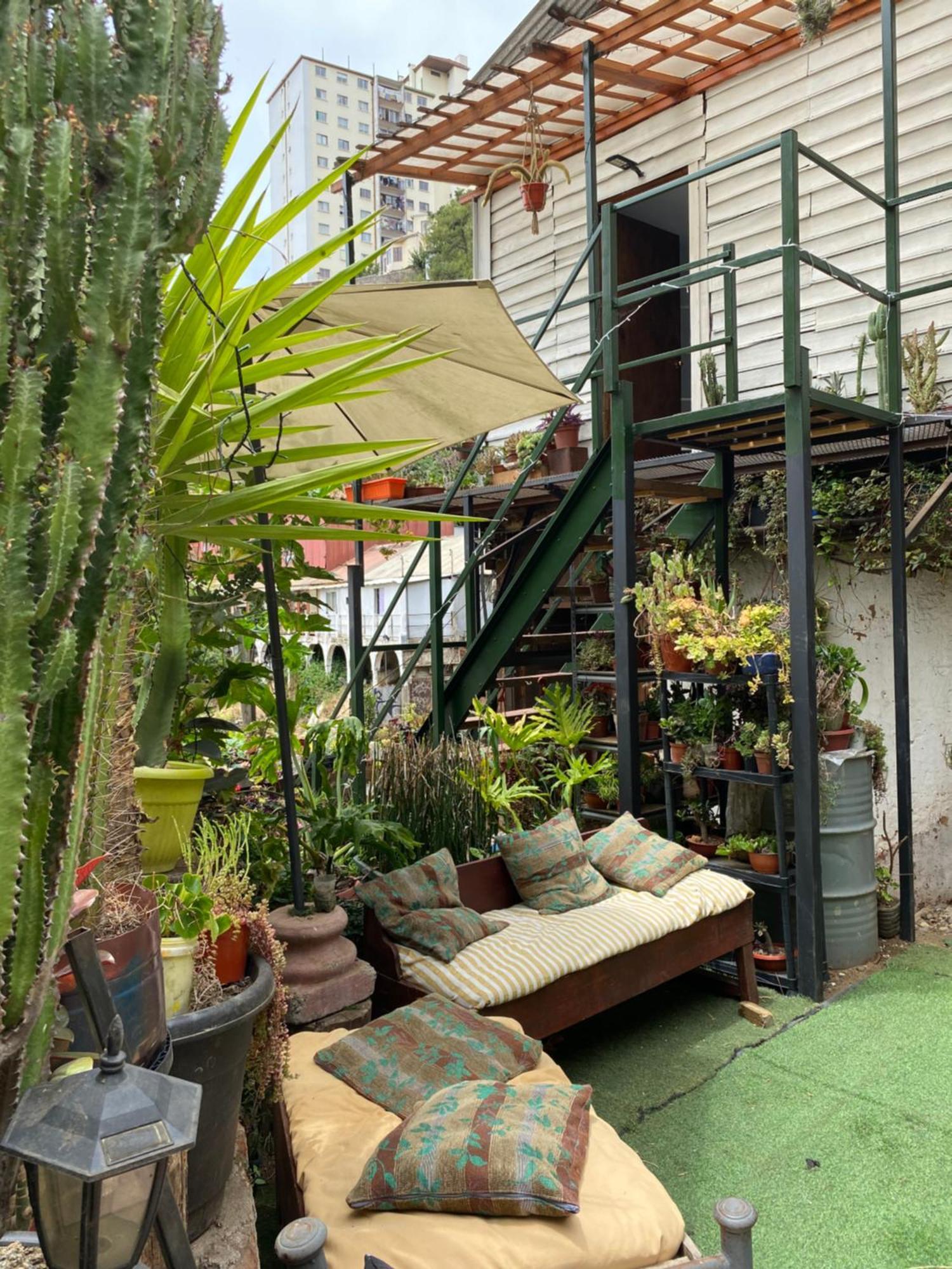 Selva Albergue