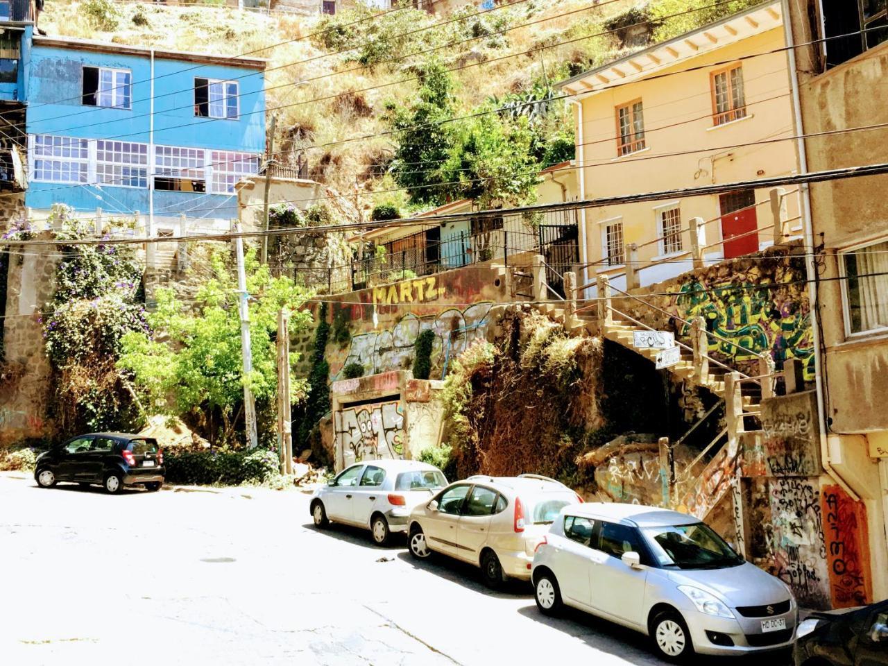 Selva Valparaíso