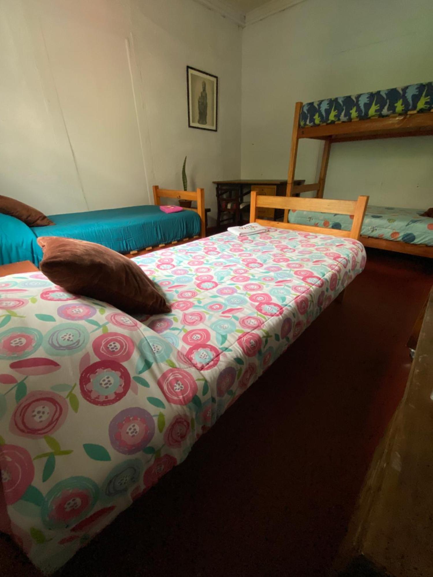 Selva Hostal